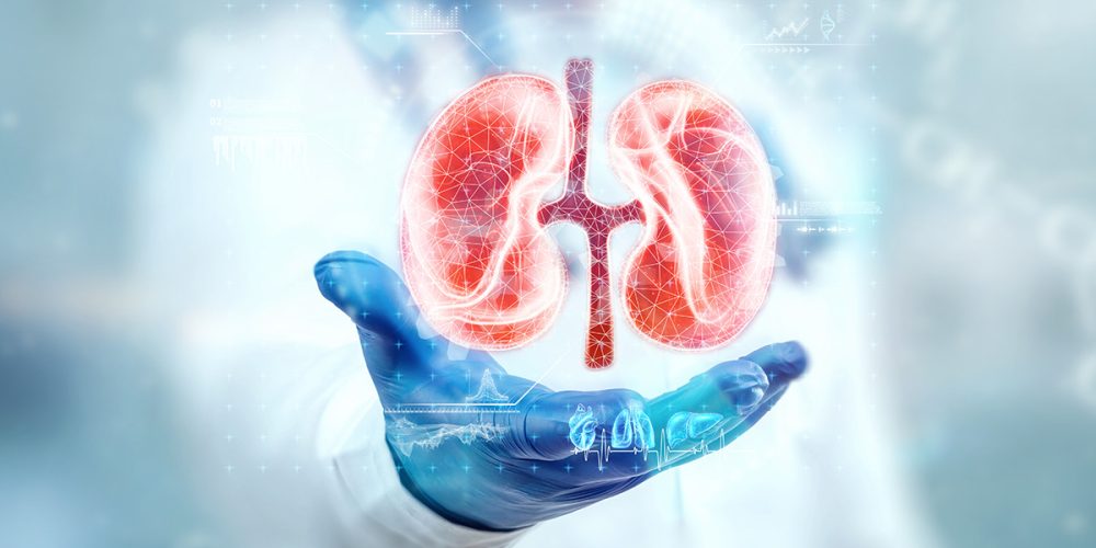 Urology-treatment-in-kalher Urology-treatment-in-kalher